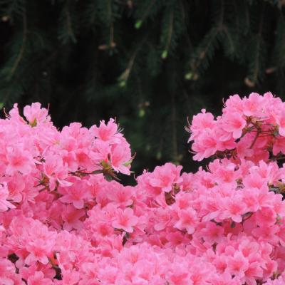 Nature, landscapes & more